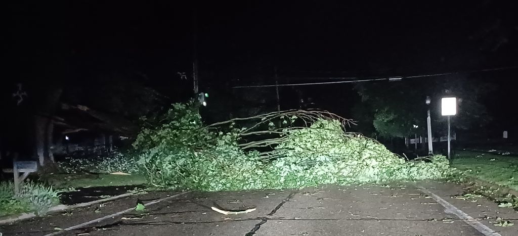 Electric Service Disrupted By Thursday Storms